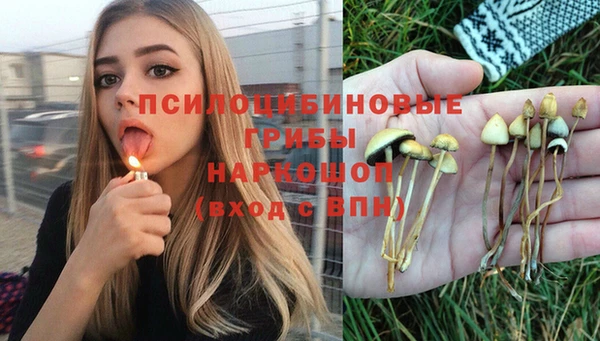 спиды Горнозаводск