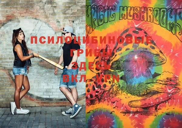 apvp Горняк