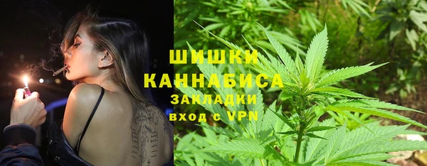 apvp Горняк