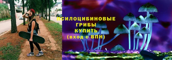 спиды Горнозаводск