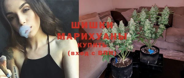дмт Тайга